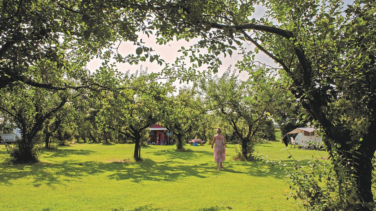 Natuur camping