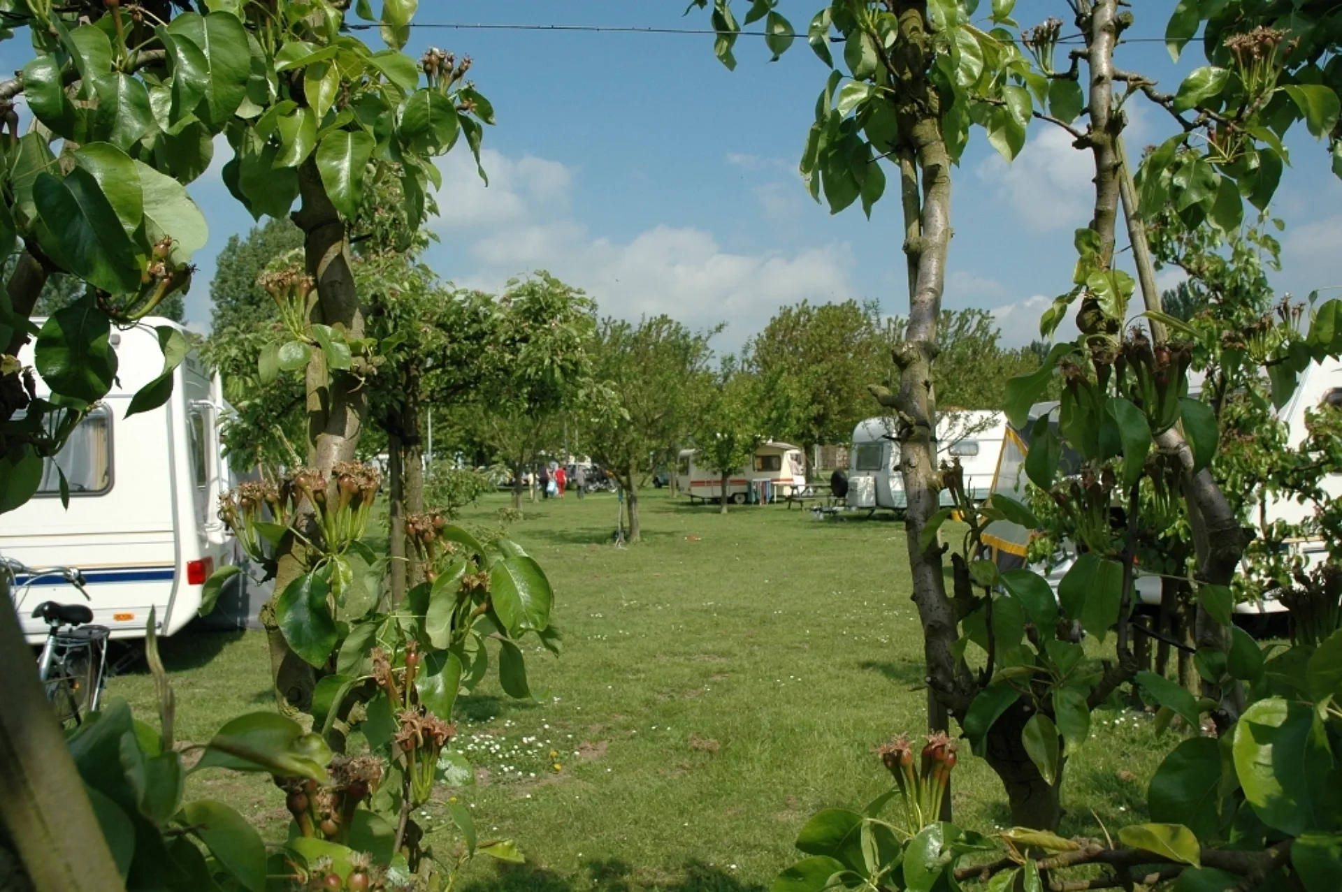 Natuur camping