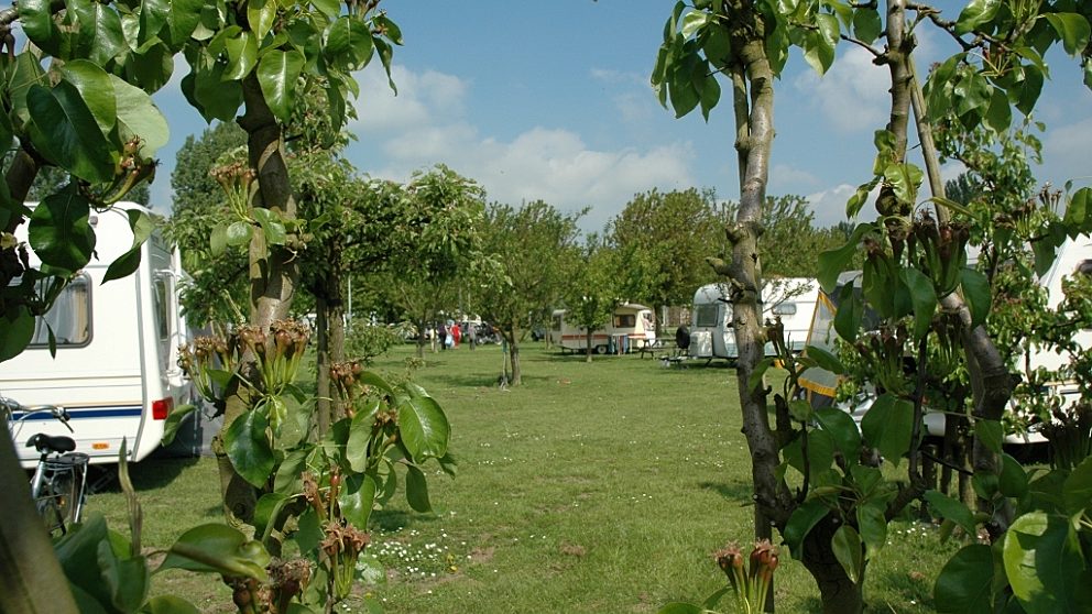 Natuur camping