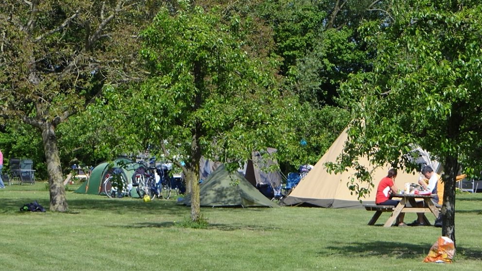 Natuur camping