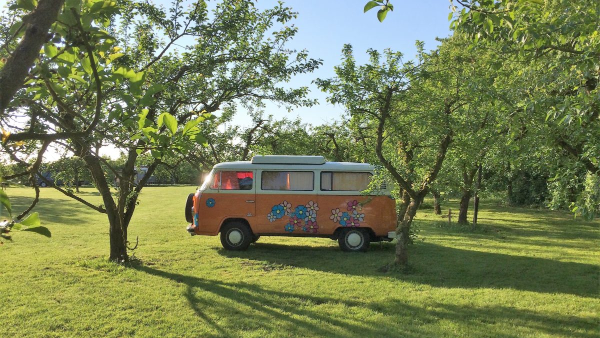 Natuur camping